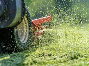 AdobeStock 113298116