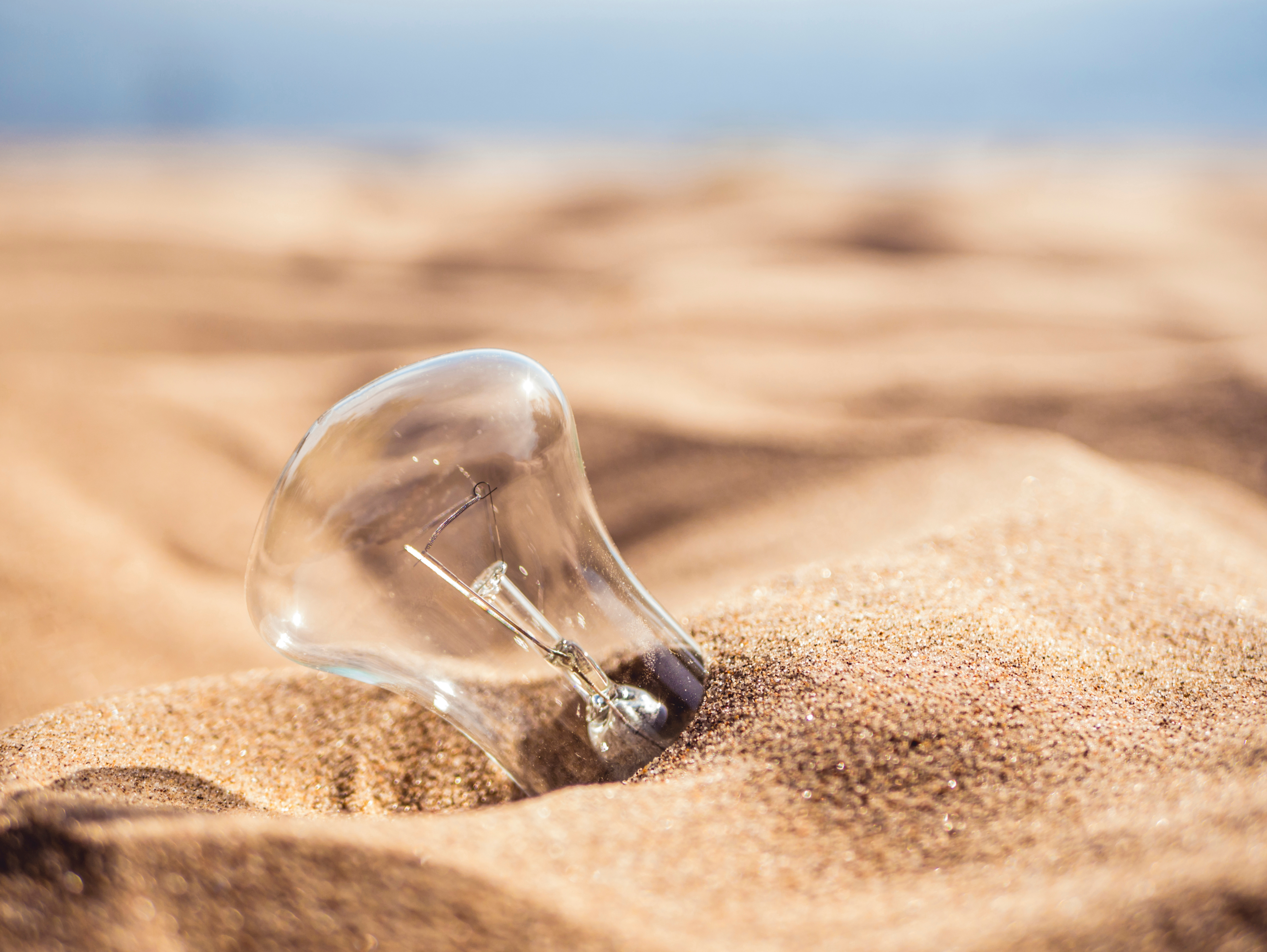 Why did my sister bury her lightbulb?