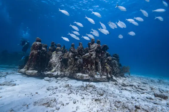 The 10 Strangest Museums Around the World-1