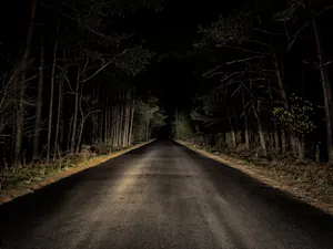 AdobeStock 293128643