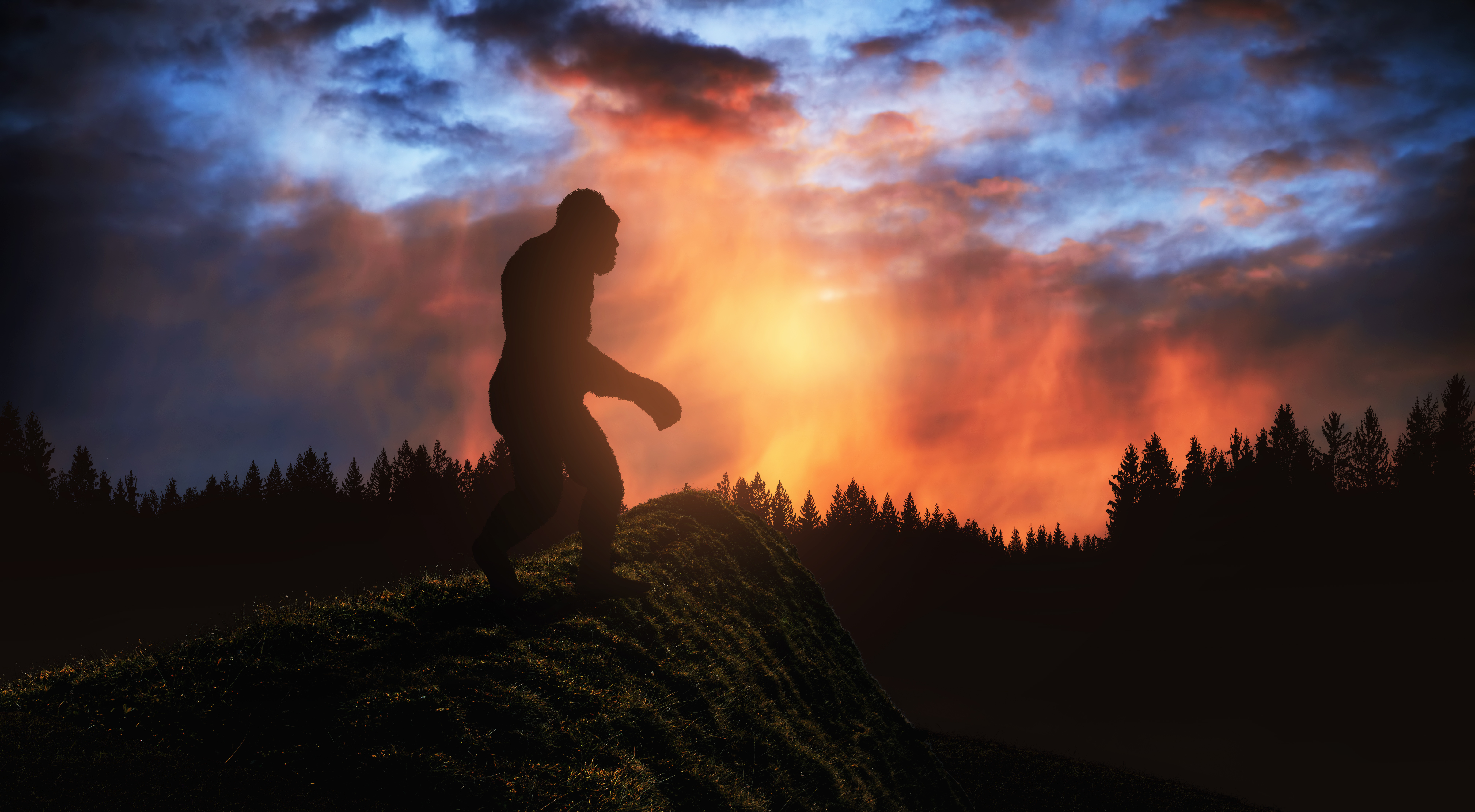 What kind of watch does Bigfoot have? image