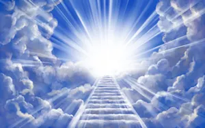 What animal always goes to heaven? image