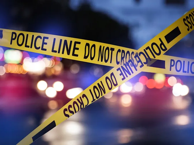 The Cruise That Ended in Murder-2