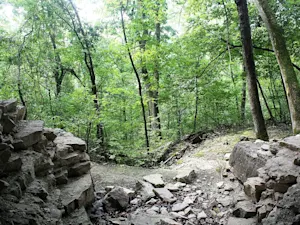 Looking out into the Ozark forest from the Bluff Shelter