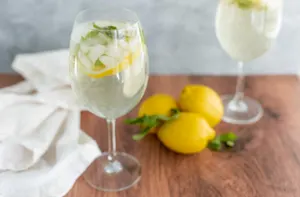 Classic Wine Spritzer