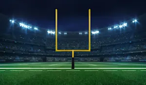 What do you get when a dinosaur scores a touchdown? image