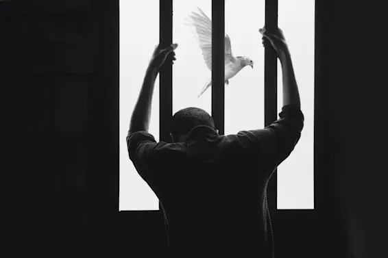 5 Prisoners Who Broke Free (And How They Did It)-1