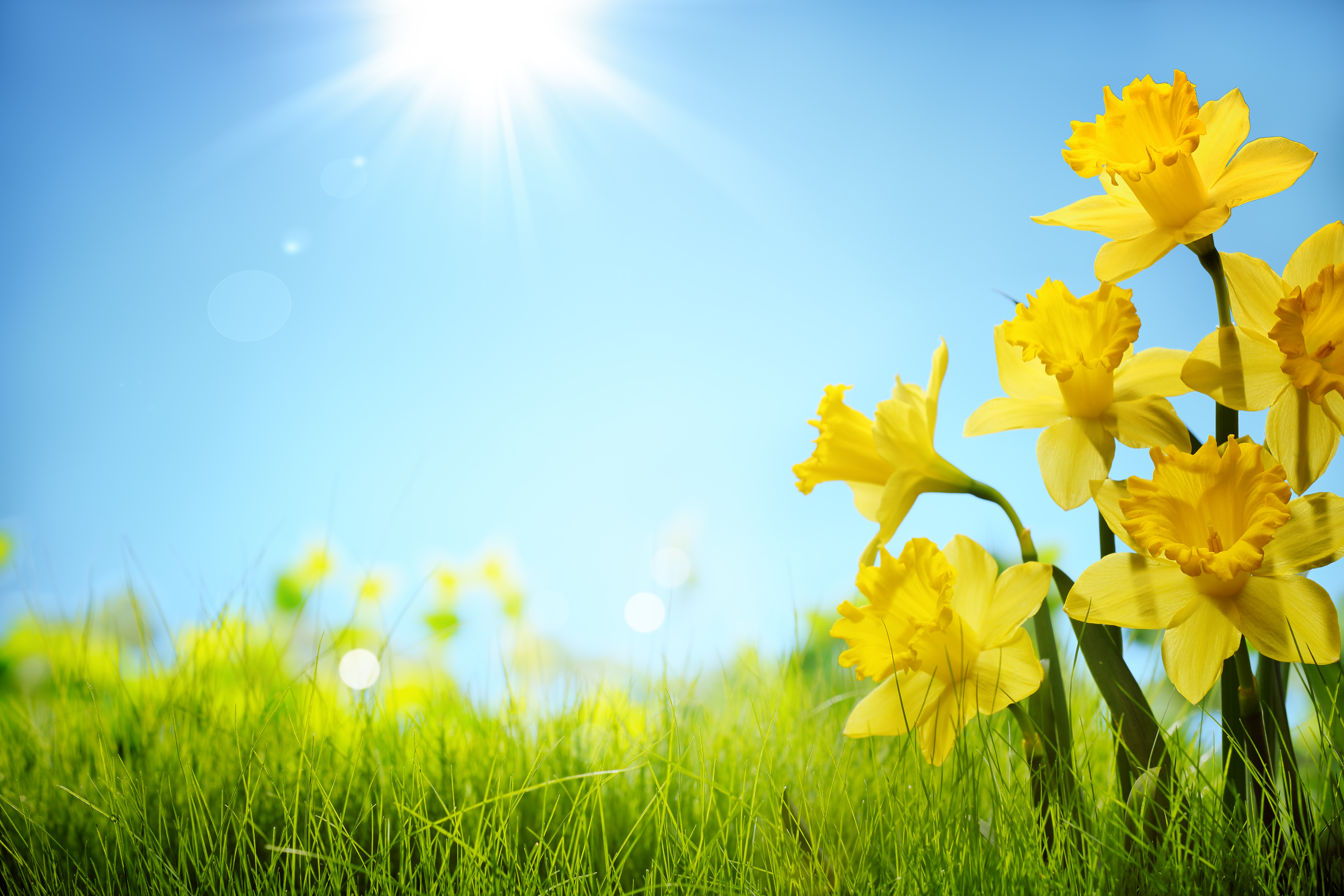 Why is spring the oddest season? image