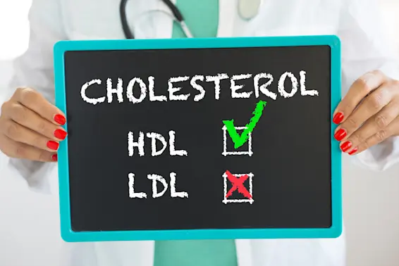 Cholesterol 101: Good Fat vs. Bad Fat-1