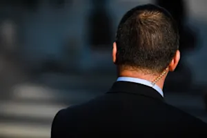 Why did the Secret Service bring a herd of cows to the White House? .jpeg