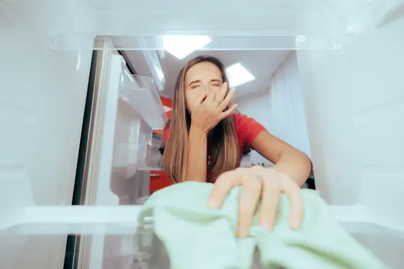 4 Easy Ways to Beat Funky Fridge Smells
