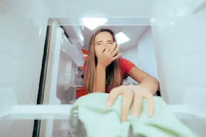 4 Easy Ways to Beat Funky Fridge Smells