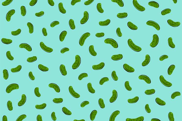  What did one pickle say to the other when it didn't get its way? image