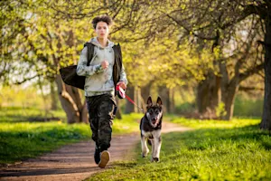 How Did a School Project Lead to a Surge in Shelter Dog Adoptions?-1