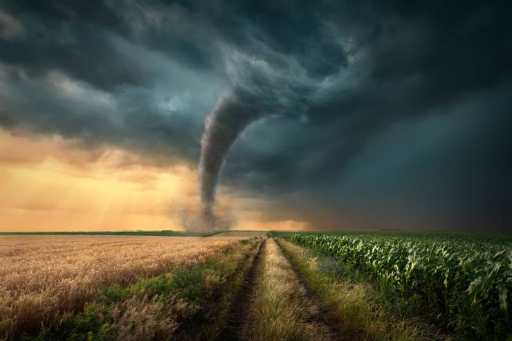  What's a tornado's favorite game? image