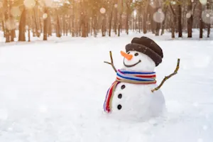 Who are Frosty's parents? image