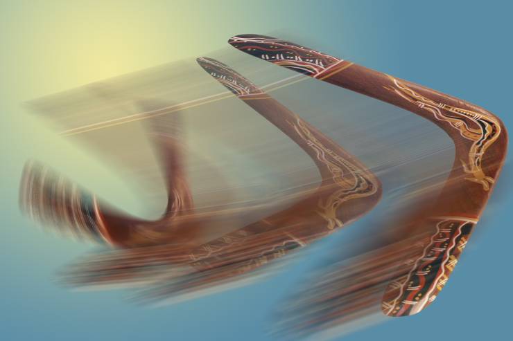  What do you call a boomerang that doesn't come back? image