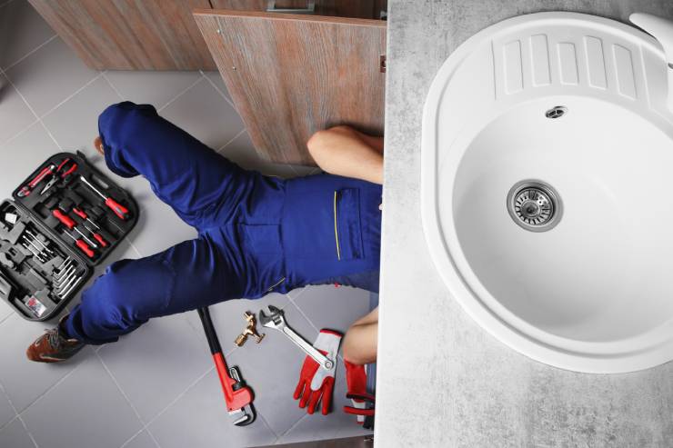  Why was the plumber predicted to win American Idol? image
