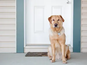 AdobeStock 193611711