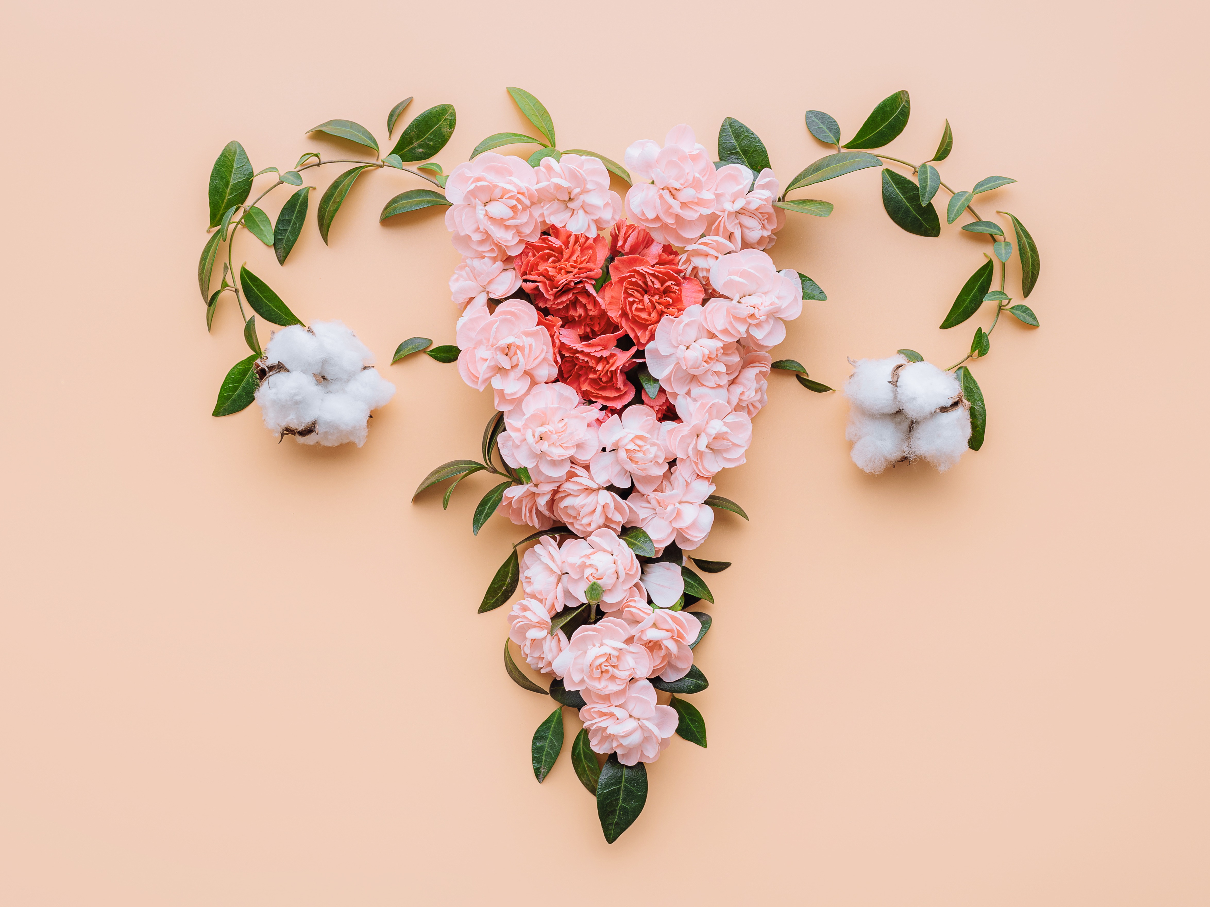 AdobeStock 476471881