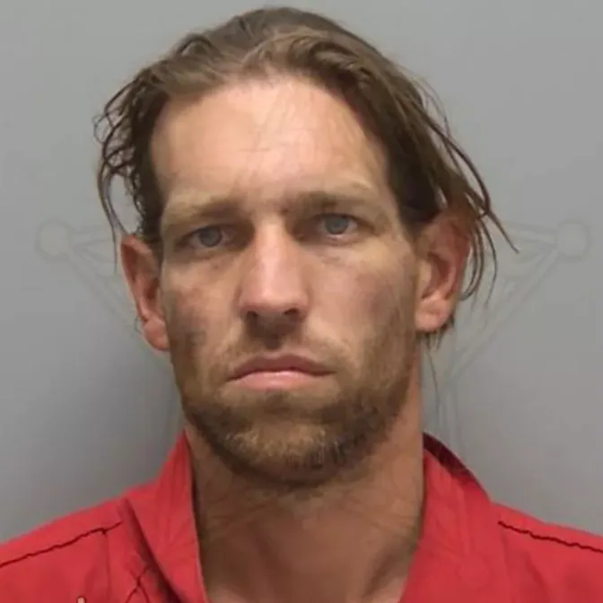 A Mailbox Horror: Severed Cat Heads Lead to Florida Man's Arrest-2