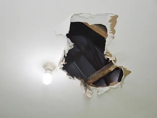 Fugitive Murder Suspect Falls Through Ceiling and Into Hands of US Marshals-1