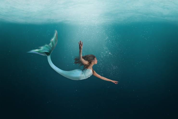  How did the mermaid call her friends? image