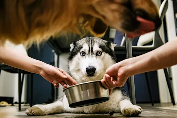 10 of the Weirdest Jobs People Actually Have-3