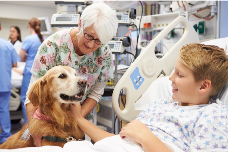  Why did the doctor let his dog help with his patients? image