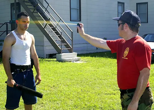 Must-Have Safety Items: Stun Guns, Pepper Spray, and More-1