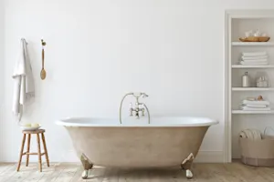 Which president loved to take baths? image