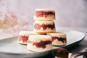 Cherry Frozen Yogurt Bites