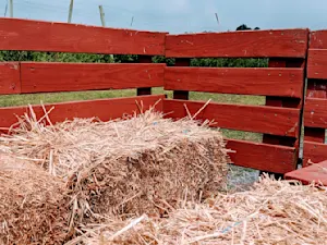 What type of vehicle should you use for a fall hayride? image