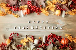 Who isn't hungry on Thanksgiving? image