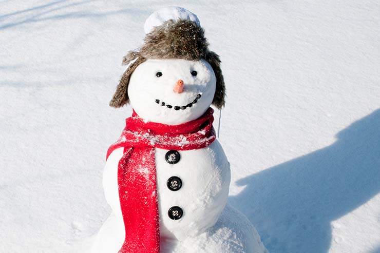  What do you call a snowman in the summer? image