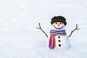 What do snowmen always order from Wendy's®? image