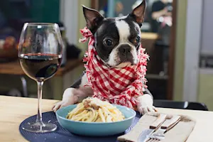 Where do dogs go when they want a buffet? image