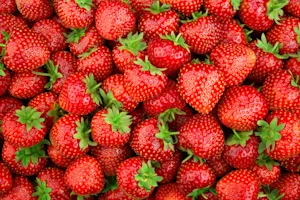 What do you call a sad strawberry?