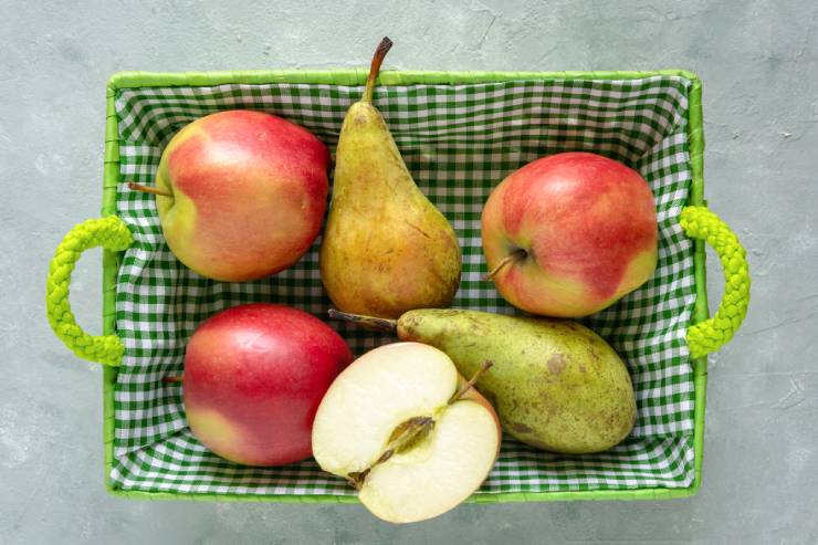  What did the pear say to the celery stick? image