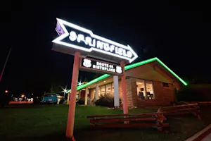 Still Missing: The Unsolved Mystery of the Springfield Three-1