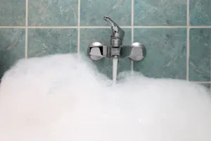 Which animal can never take a long bubble bath? image