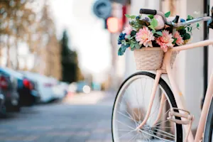 What do you get if you cross a bike and a flower? image