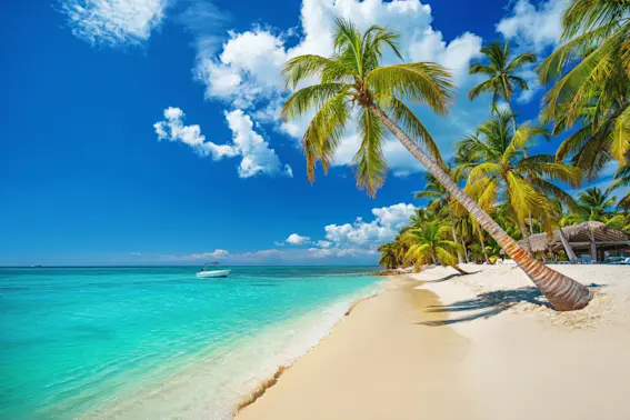 13 Beach Jokes You're Shore to Love