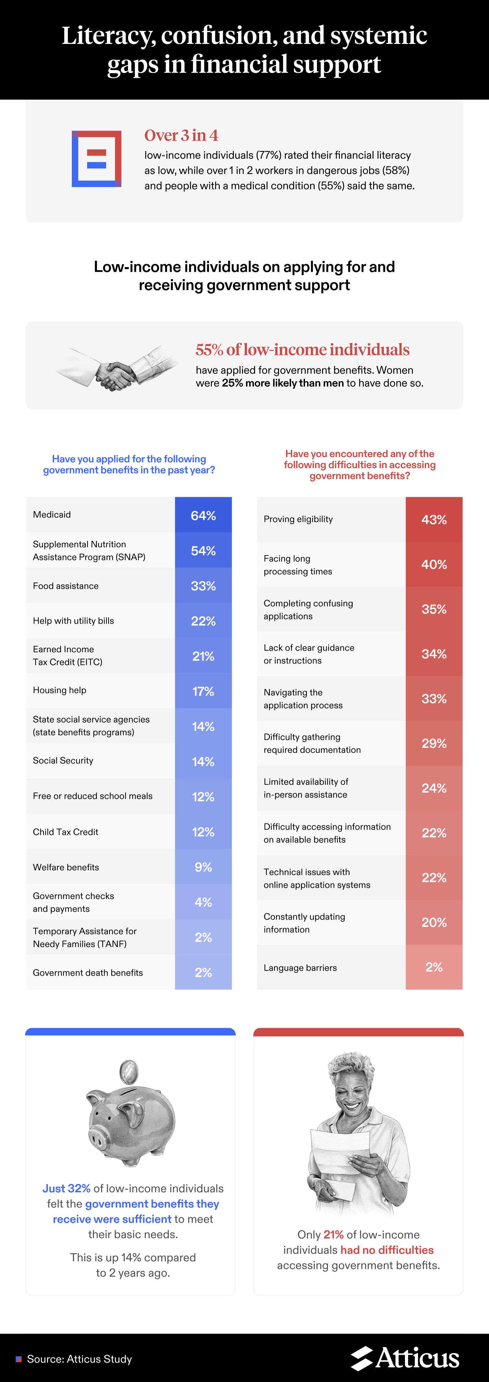 Infographic showing literacy gaps and challenges in accessing government financial support.