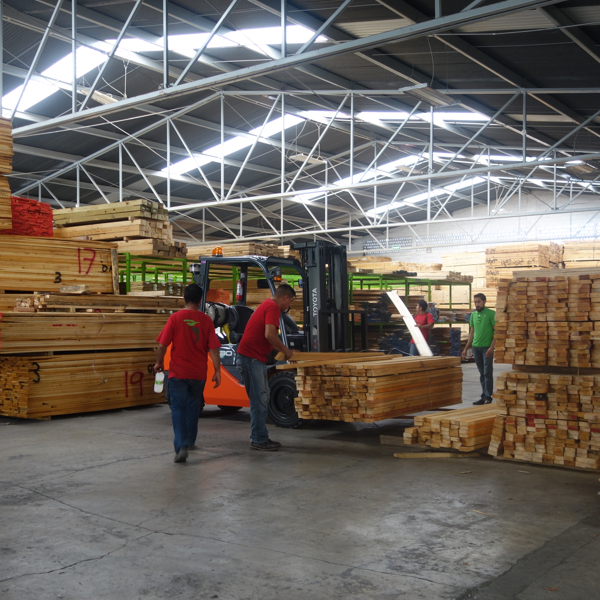 Descargando tablas de madera en Sucursal Matriz