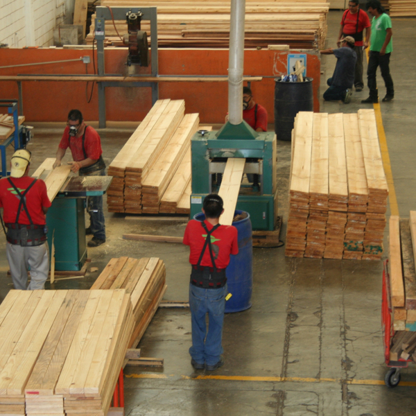 Cepillando Madera de Pino Nacional en bodega de Sucursal Sendero