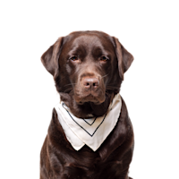 Image of Molly