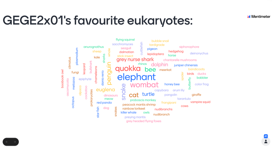 University of Sydney - Wordcloud