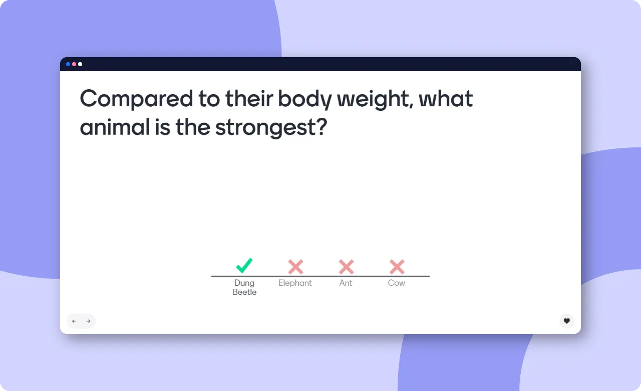 Slide from the general knowledge quiz template from Mentimeter. 