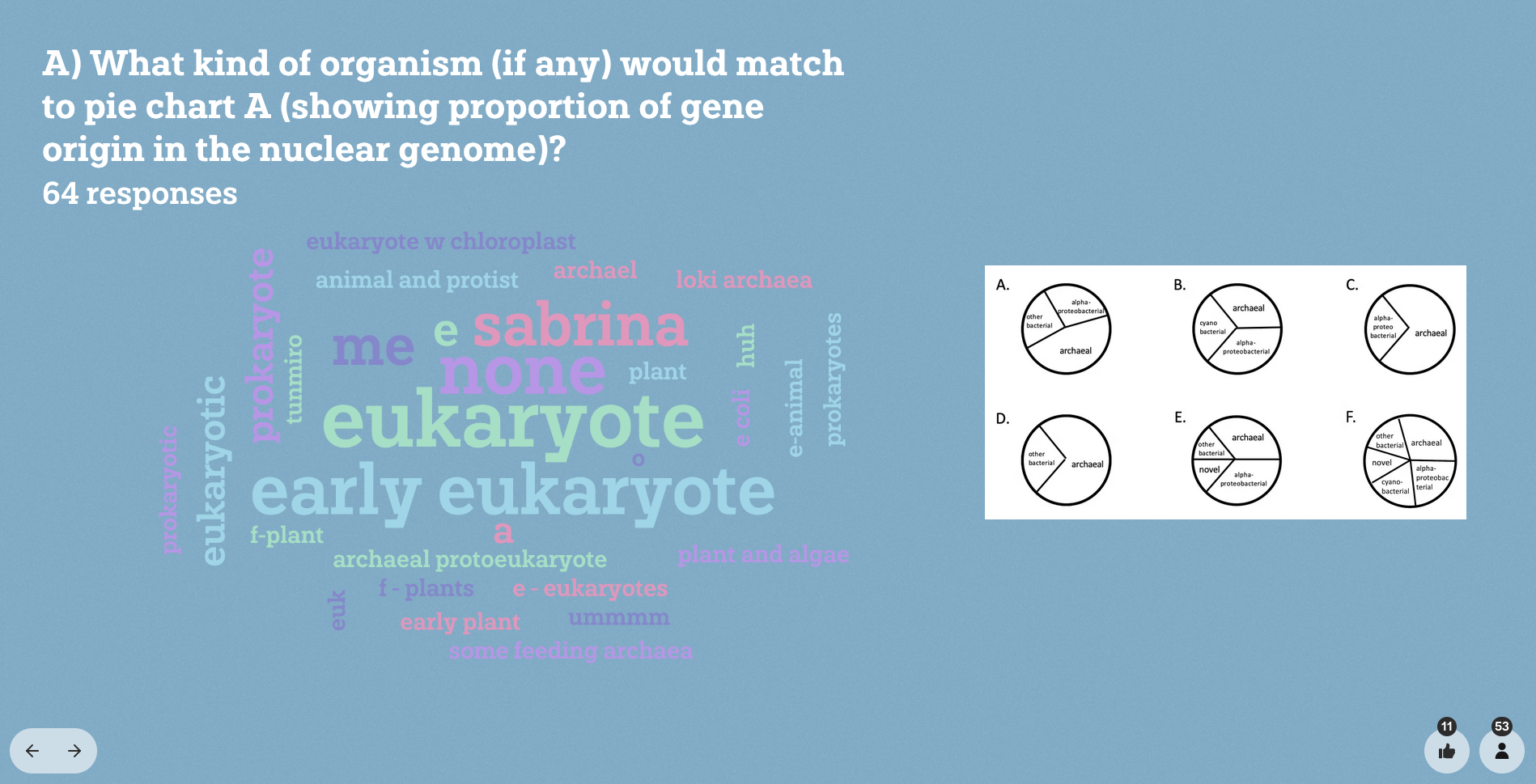 Organism - Word Cloud - DJ